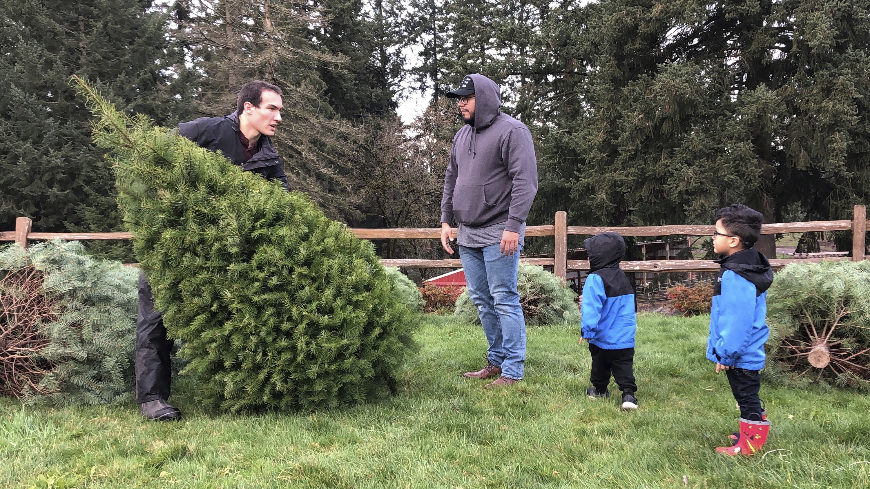 How to recycle your tree after Christmas