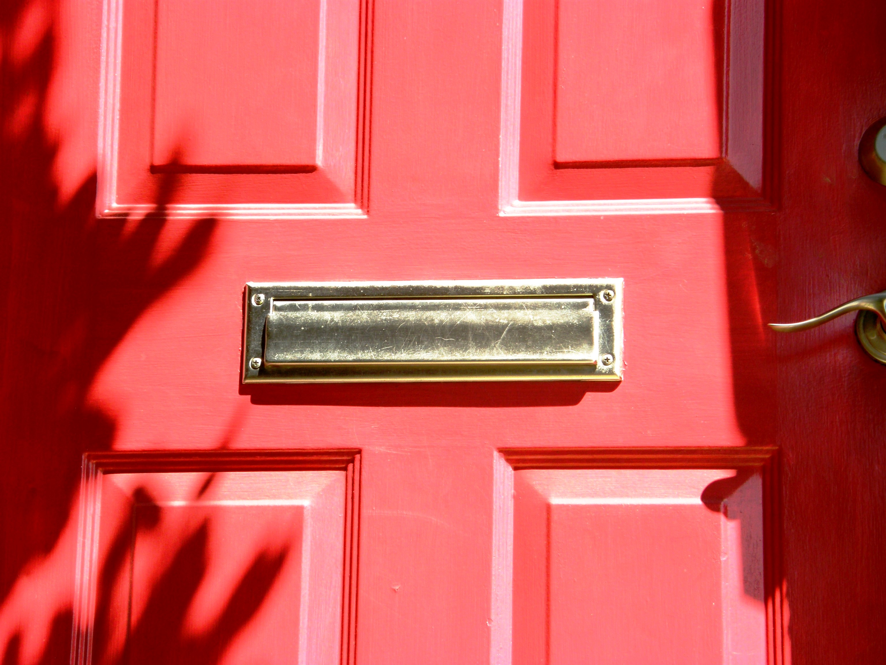 Networx: Types of doors: Your guide to materials, styles