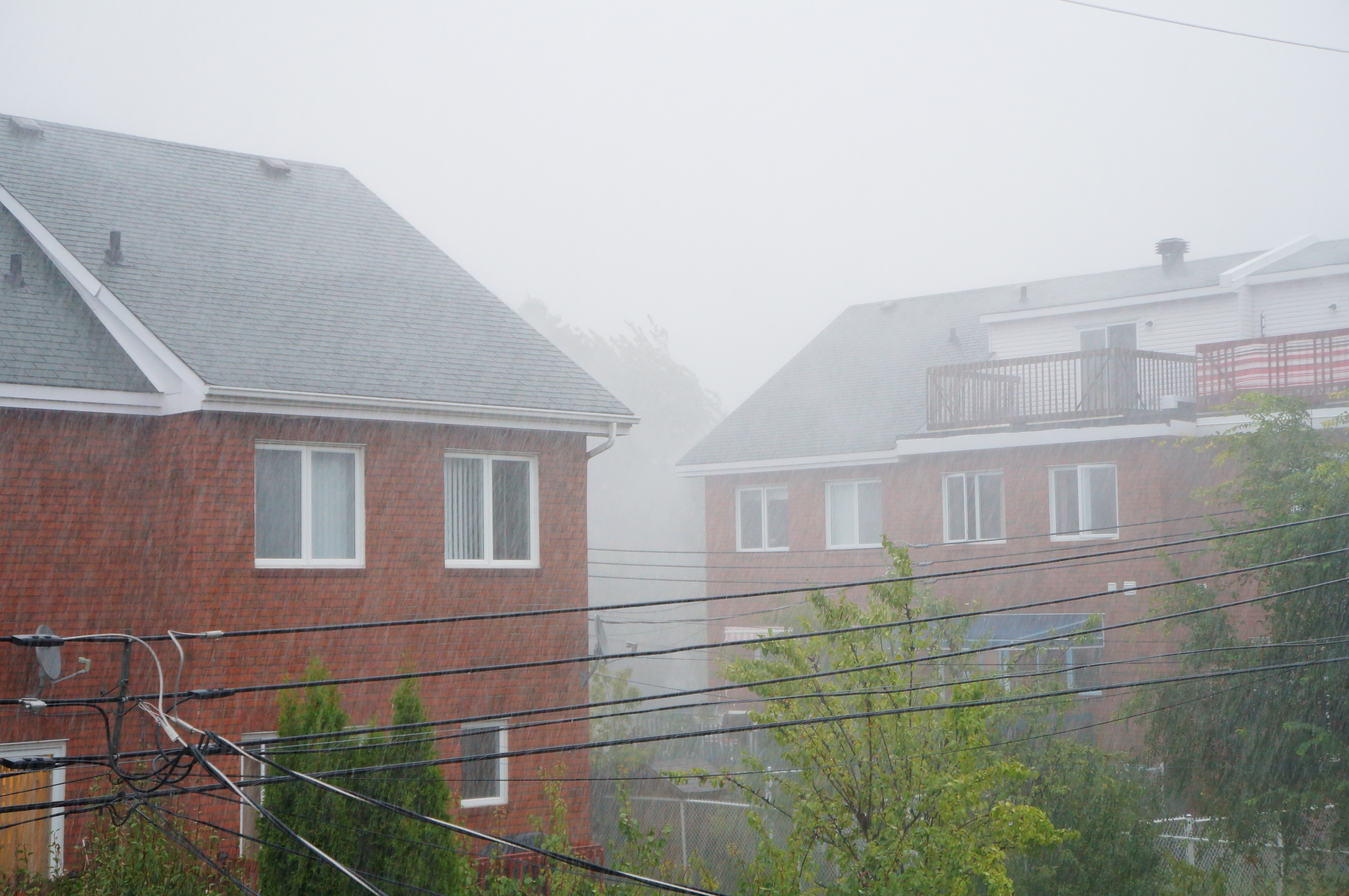 Networx: Leaking window causes and repairs
