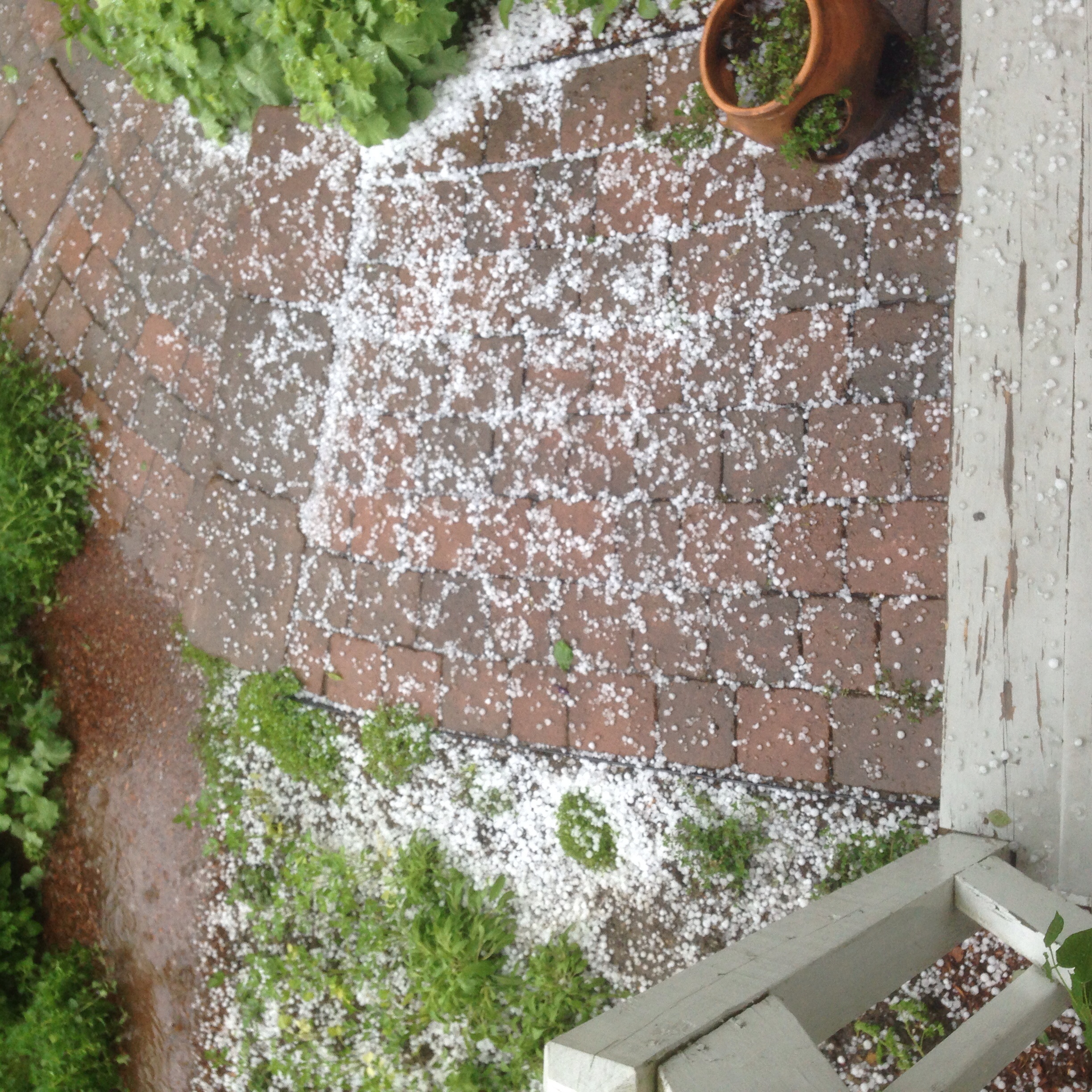 Networx: Hail damage and your homeowners insurance