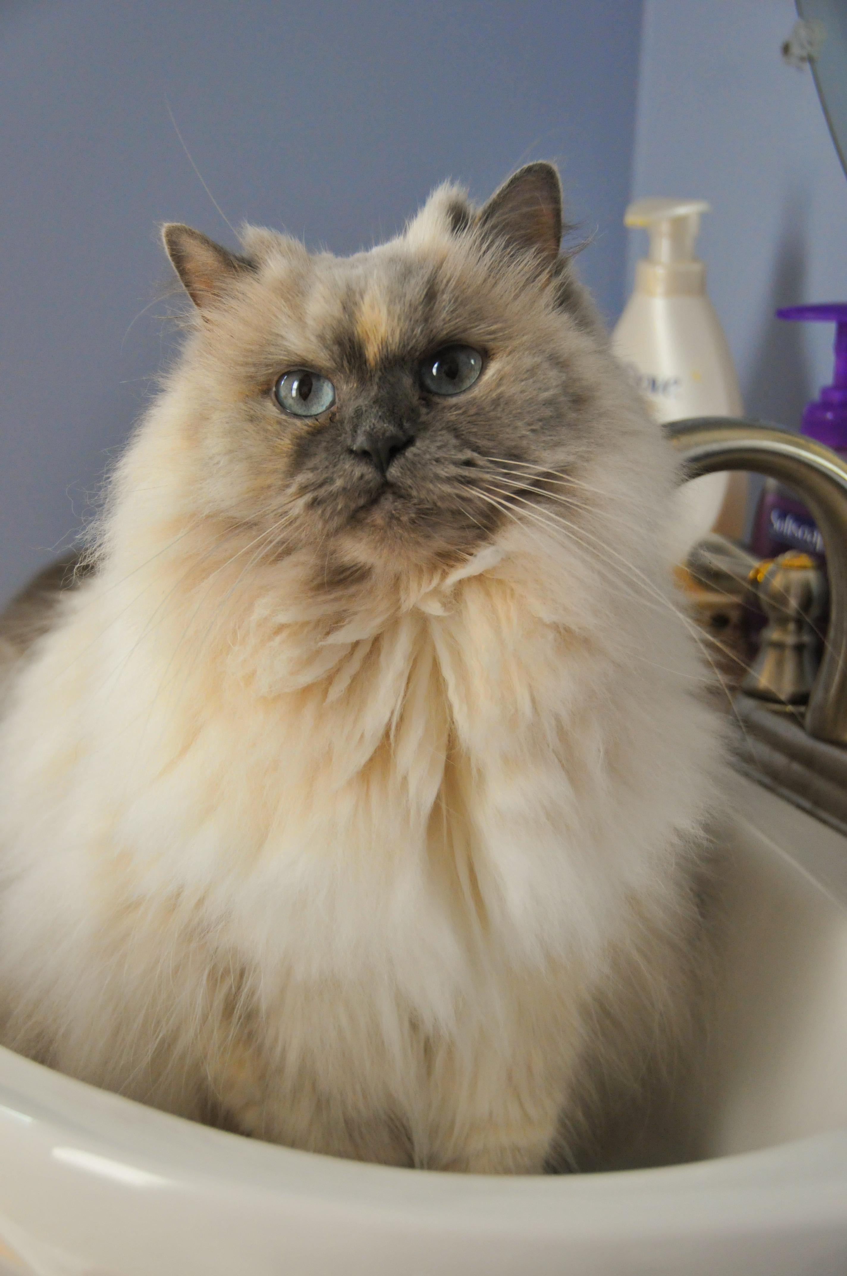 Networx: DIY bathroom renovation: What to keep, what to replace