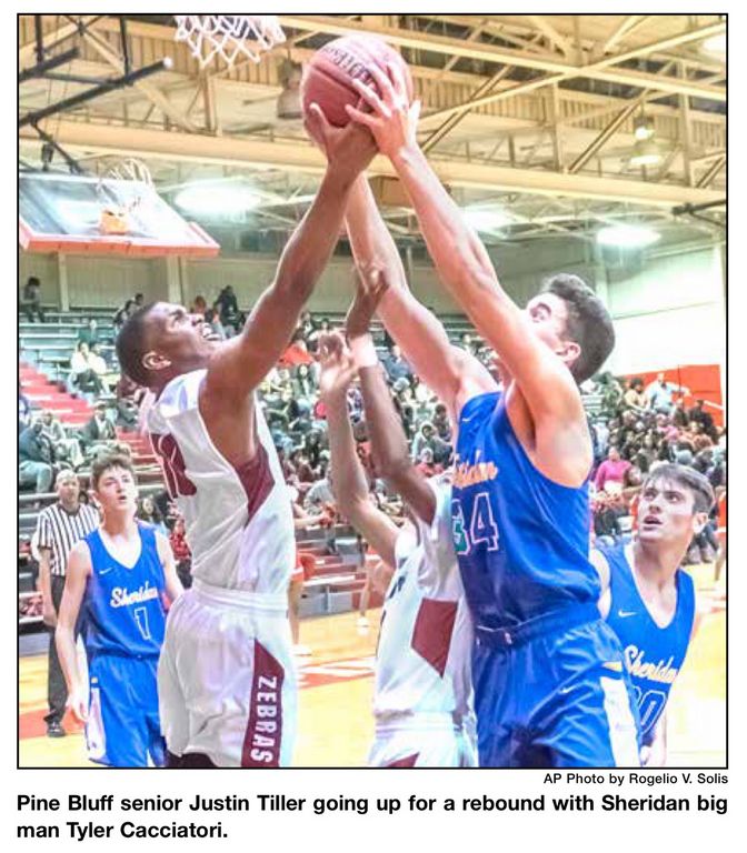 Dixon, Zebras looking for break-out performance