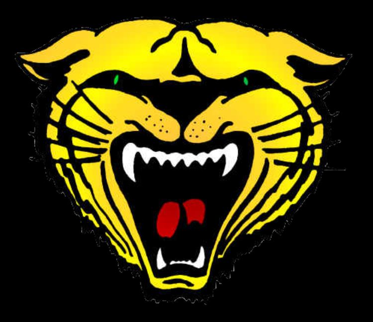 Wildcats shutout Crossett