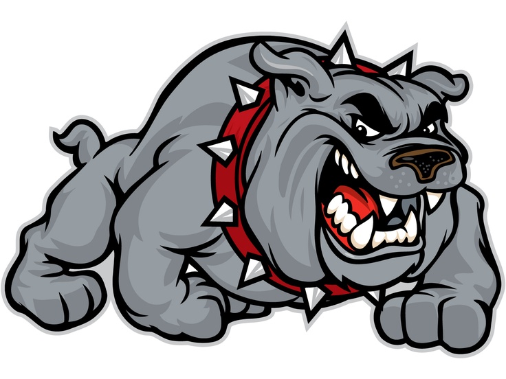 White Hall baseball team’s season comes to end against Sylvan