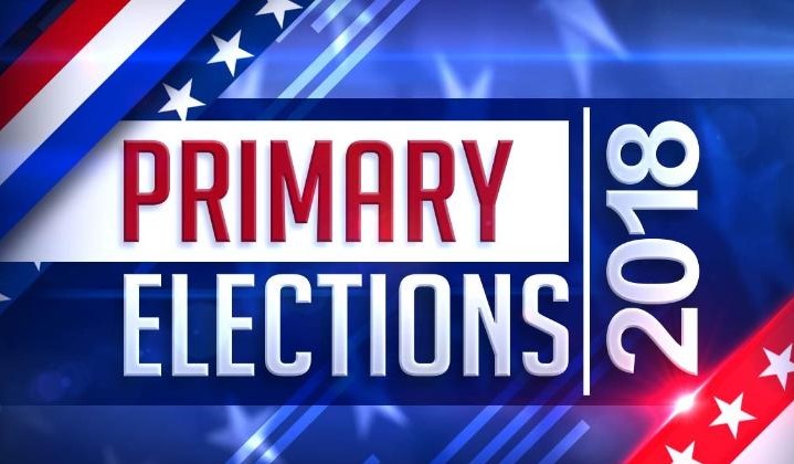 2018 Primary Election results