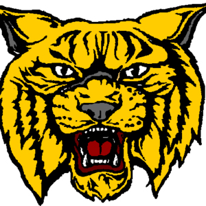 Rison takes out Brinkley 41-6 in shortened game
