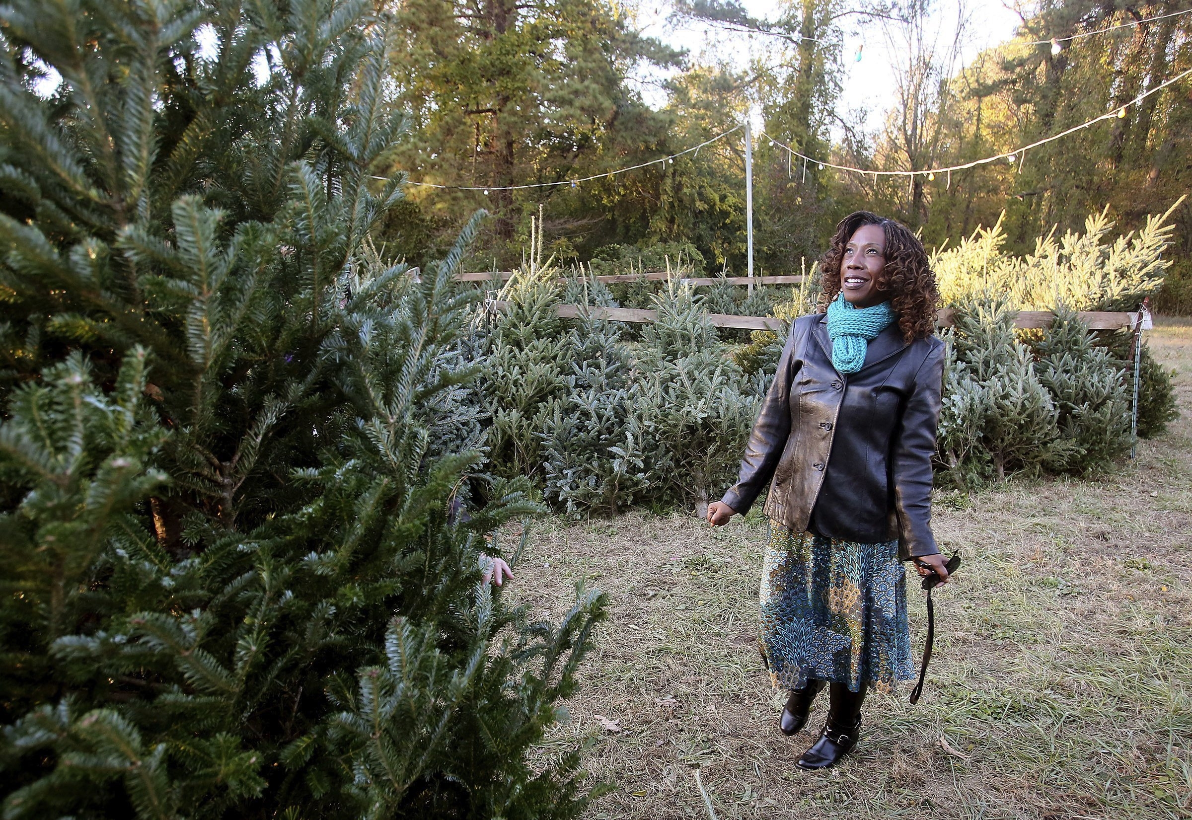 6 tips for taking care of your real Christmas tree