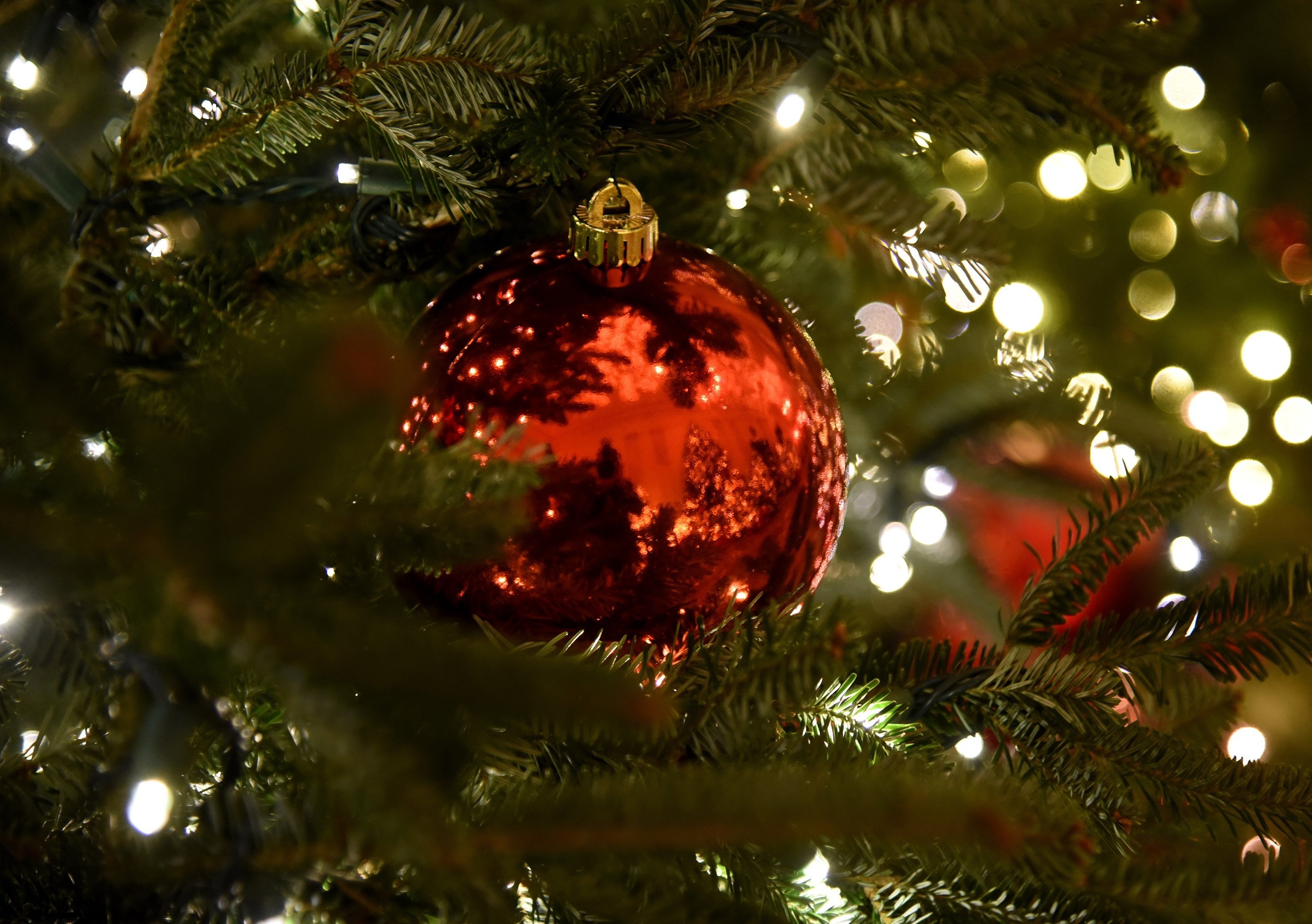 The pros and cons of real vs. artificial Christmas trees