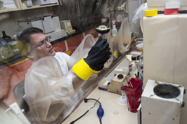 Researcher describes new food safety model for poultry
