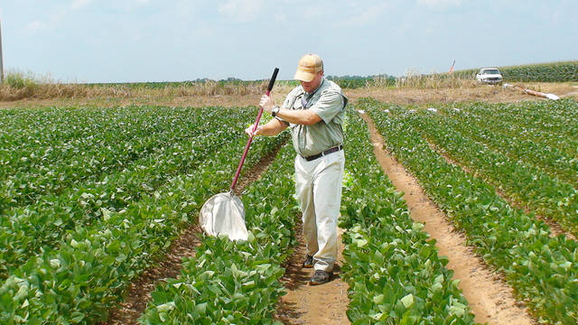 Arkansas soybeans, cotton set to break record yields