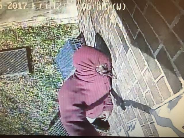 Police seeking burglary suspect
