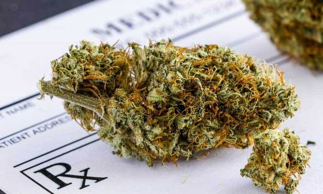 UAMS to study public perception on medical marijuana