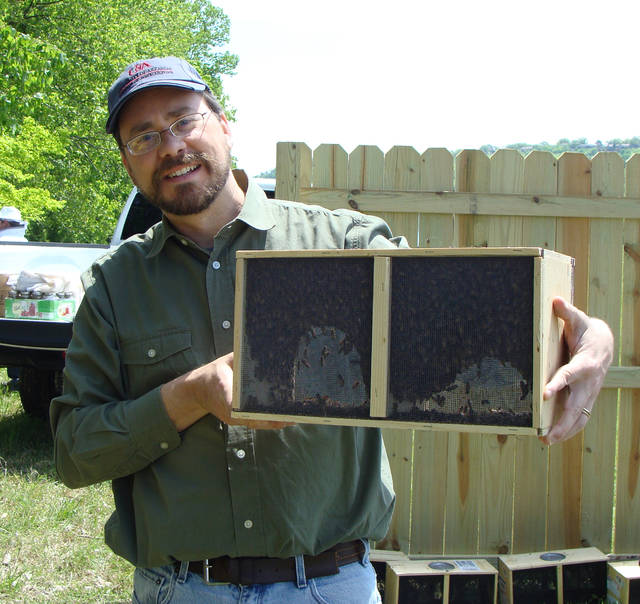 Extension beekeeping expert to receive honor