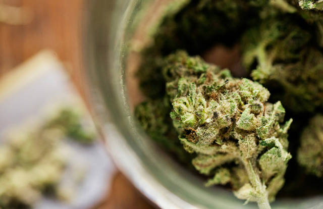 Judge tosses medical marijuana licensing process
