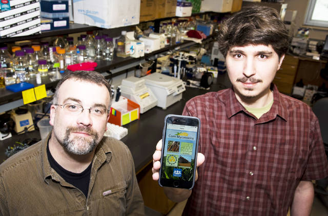 Mobile app helps growers identify corn ear rot, mycotoxins, expert says