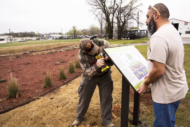 Demonstration ‘bioswale’ helps absorb, treat stormwater runoff