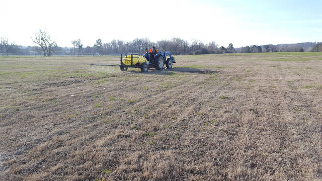 Spring is weed control time in warm season pastures