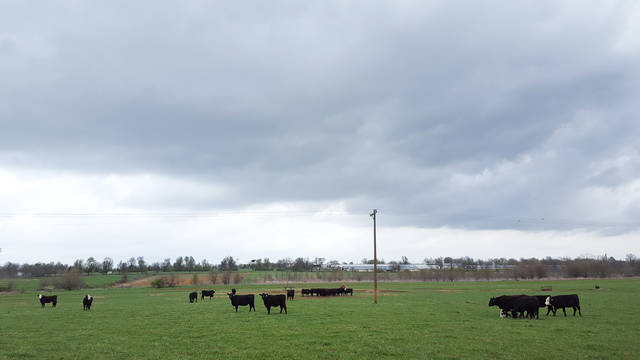 U of A experts promote stormwater use for landscapes, pastures