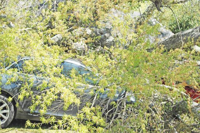 Fallen tree damages house, cars in Shady Grove area