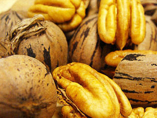 Pecan growers annual meeting/farm tour set for May 5 at Lonoke