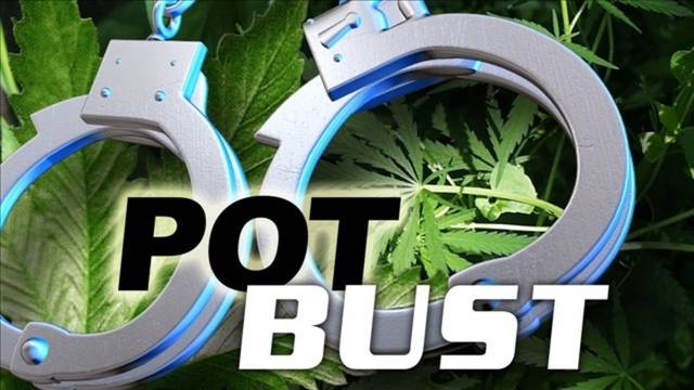 Drug task force seizes 49 pounds of marijuana