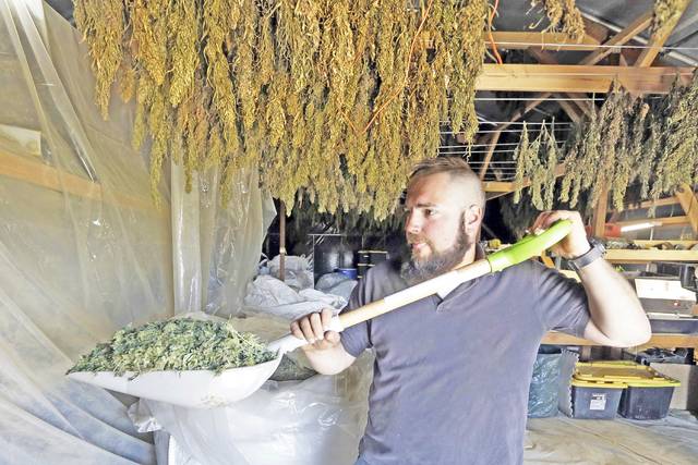 Arkansas isn’t only state with pot woes