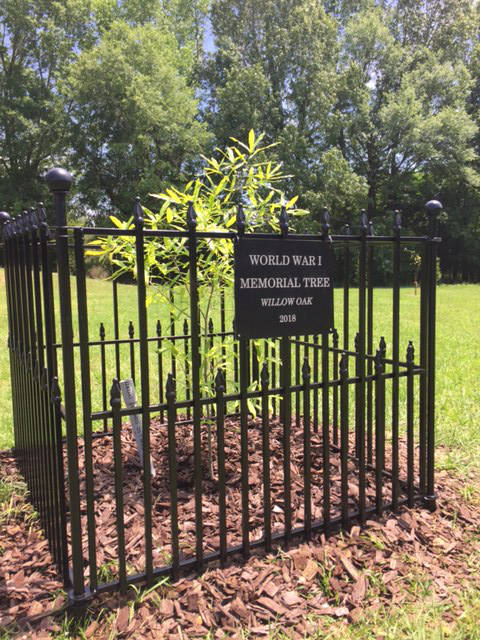 New Edinburg WWI tree