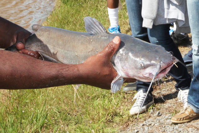 To make a child’s first fishing trip successful, catch at least one fish