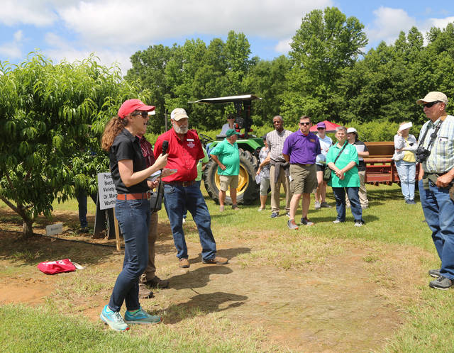 Horticulture Field Day teaches key points for Arkansas fruit production
