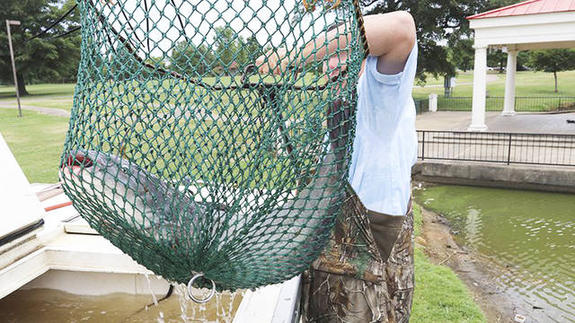 Southeast Arkansas company donates catfish for ponds