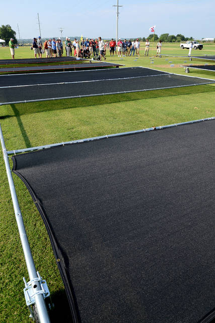 Excessive shade can impair turfgrass health, experts say