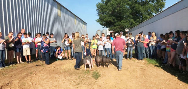 Camp teaches youths about livestock and life skills