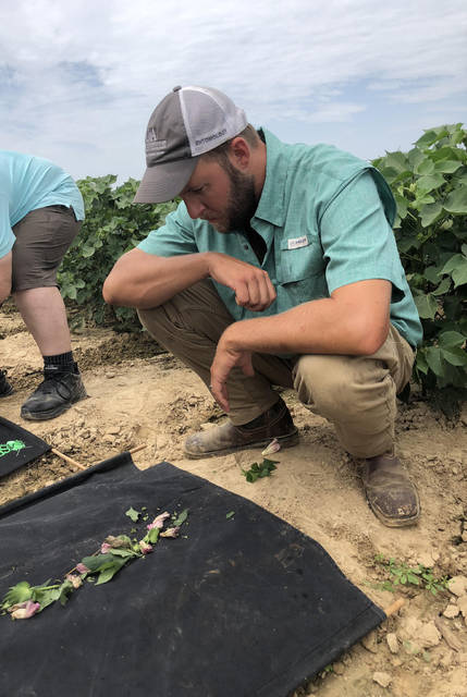 Entomologist returns to Arkansas to battle pests; Ben Thrash starts Aug. 1