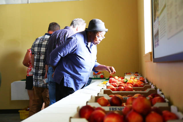 Peach field day brings experts, growers together