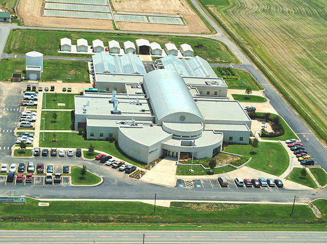 2 Chinese charged with conspiracy to steal rice tech in state