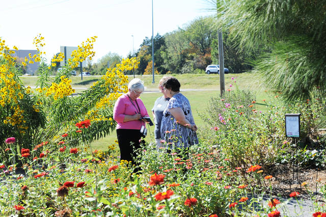 Greening of Arkansas grant application deadline Oct. 3
