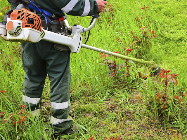 Quorum Court approves grass cutting deal with JCSO