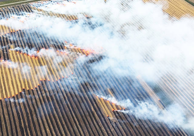 Precautions can reduce risks, impacts of crop residue burns, experts say