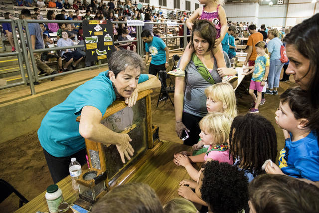 Arkansas Insect Festival to showcase learning activities, theater