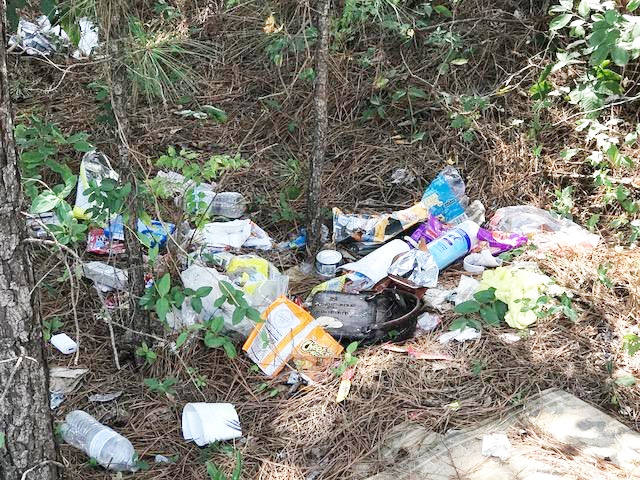 Economic Development Side: Keeping it clean and beautiful a continuous struggle