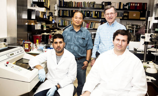 Neuroscientists find new stress response component in poultry brain