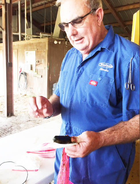 Career cattle breeder, geneticist returns to U of A after nearly 40 years in field