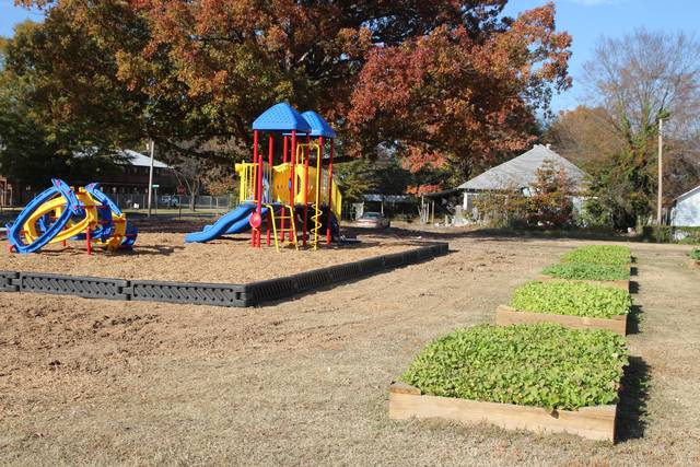 Pine Bluff receives grant to support community garden