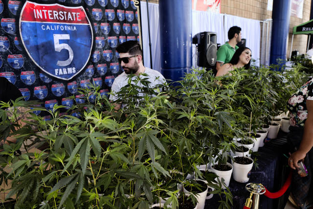 Legal marijuana industry toasts banner year