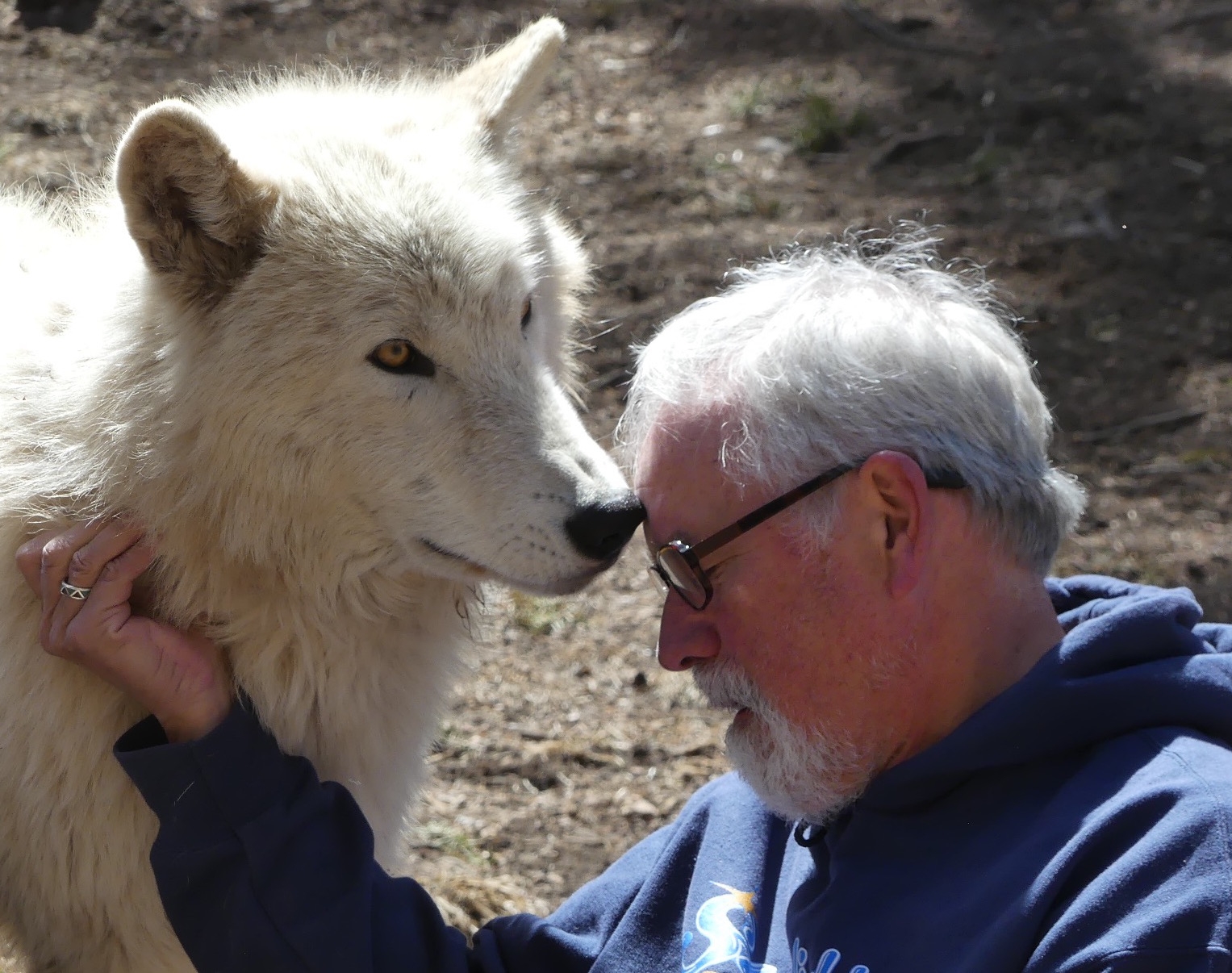 On the Road with Rick Holmes: Dancing with wolves