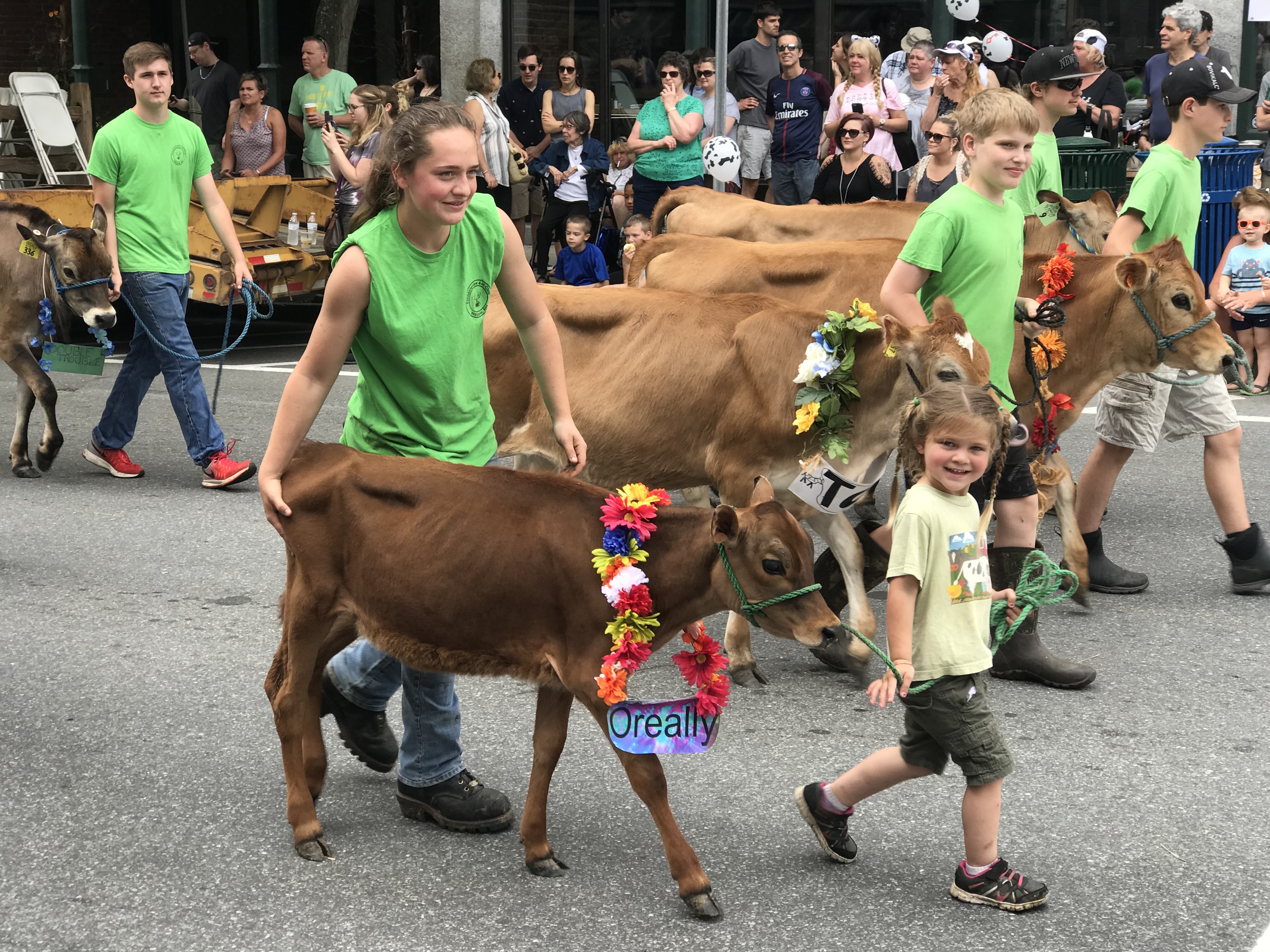 On the Road with Rick Holmes: Join the parade