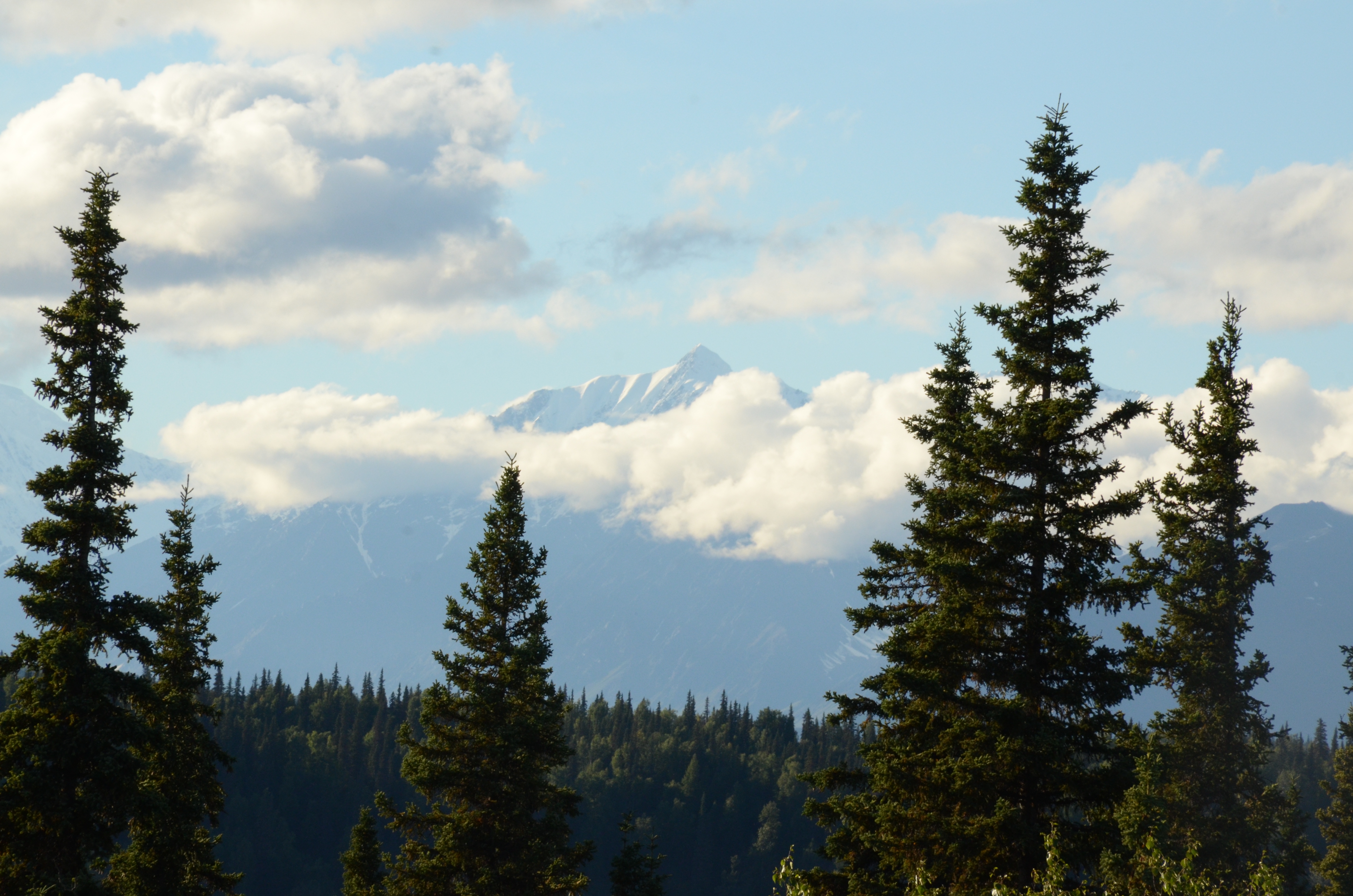 On the Road with Rick Holmes: Let Denali always be Denali