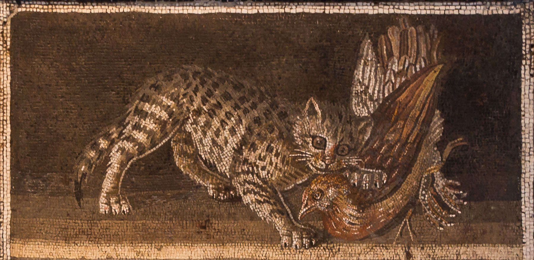 The Secret Lives of Words: Old pets, ancient cats, and Felix the felicitous feline