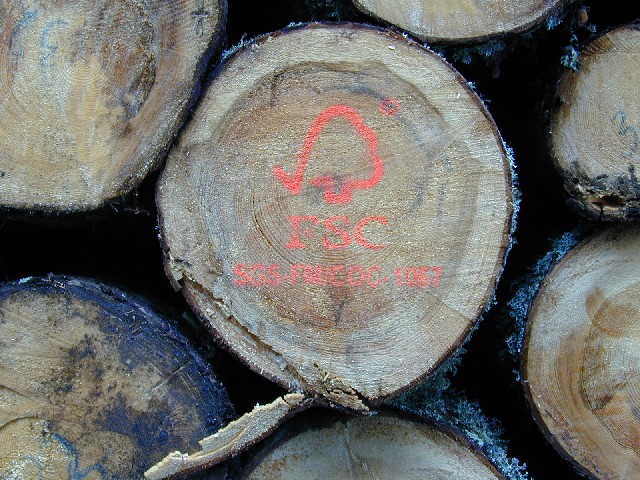 Networx: What is FSC certified wood and why does it matter?