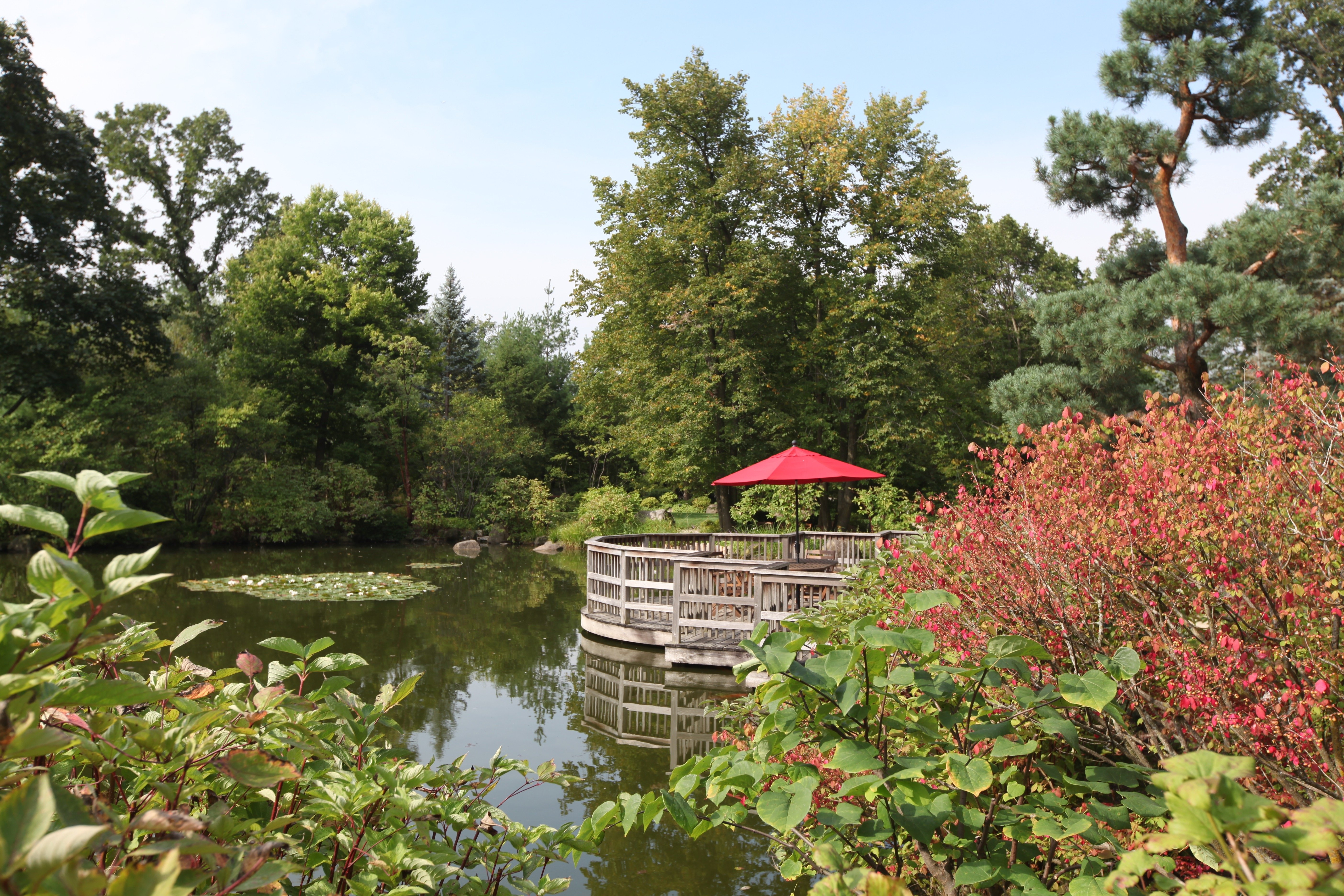 Ticket to Write: Anderson Japanese Gardens a beloved showcase of plants